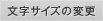 文字サイズの変更
