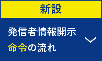 発信者情報開示請求の流れ 発信者情報開示命令の流れ