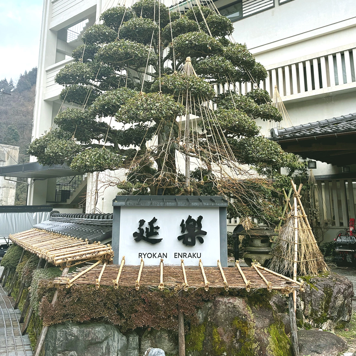 懇親会の食事